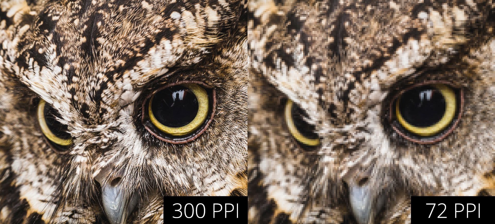 How To Get The Best Image Resolution