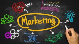 Marketing Quiz