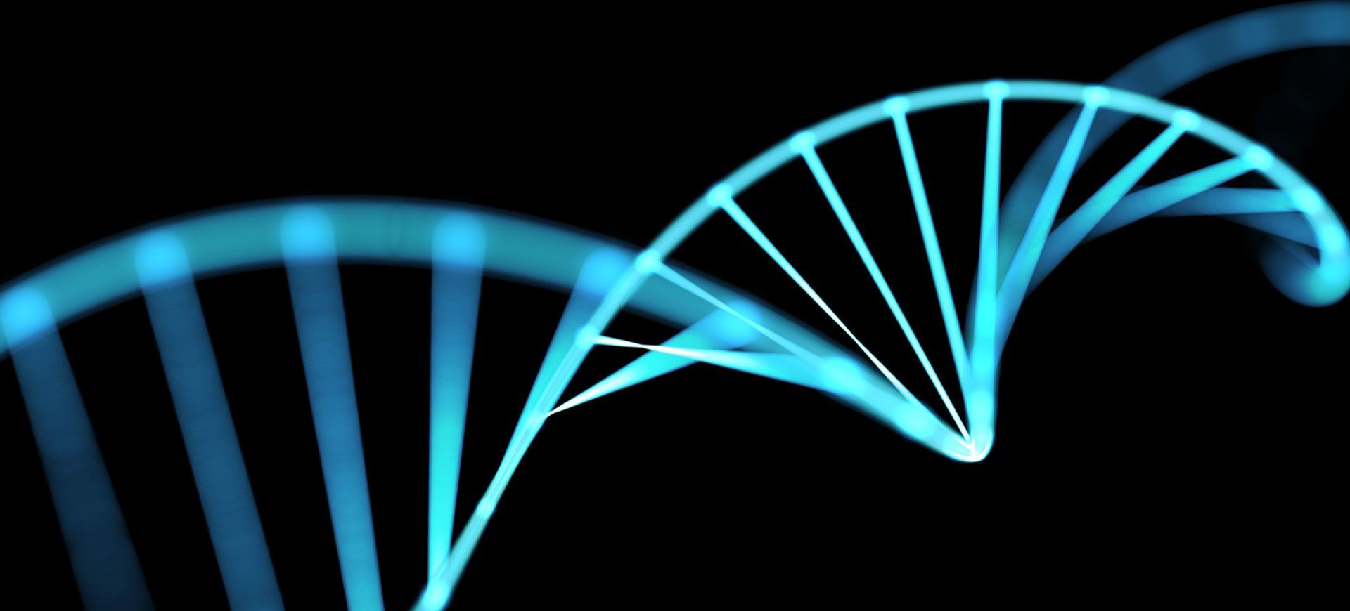 What's your brand DNA?
